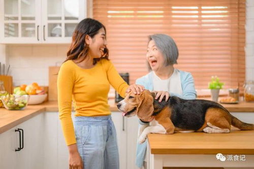 寵物食品營銷新趨勢 問“為什么”取代“是什么”的銷售革命